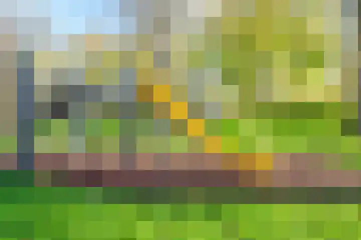 Jungfrau 83 Utrecht thumbnail 26