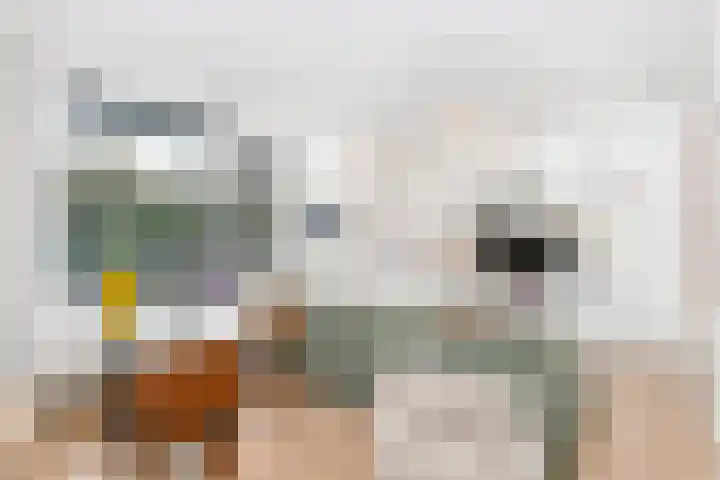 Jungfrau 83 Utrecht thumbnail 7