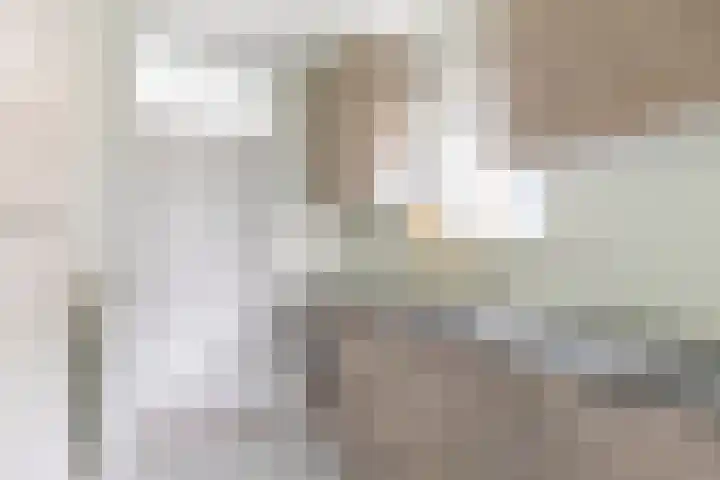 Jungfrau 86 Utrecht thumbnail 10