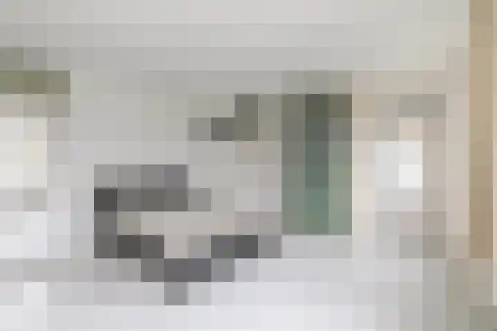 Jungfrau 86 Utrecht thumbnail 14