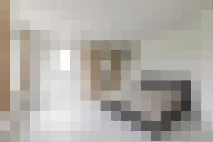 Jungfrau 86 Utrecht thumbnail 15