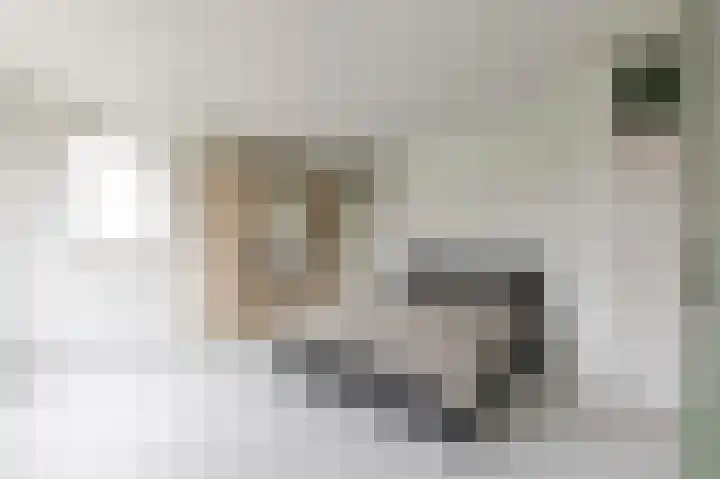 Jungfrau 86 Utrecht thumbnail 16