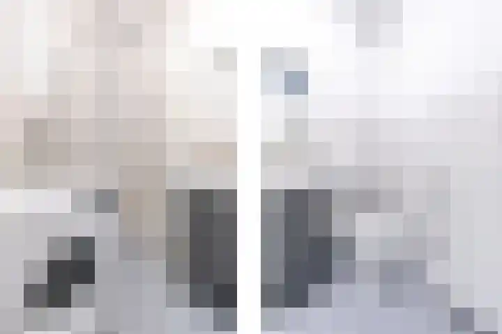 Jungfrau 86 Utrecht thumbnail 20