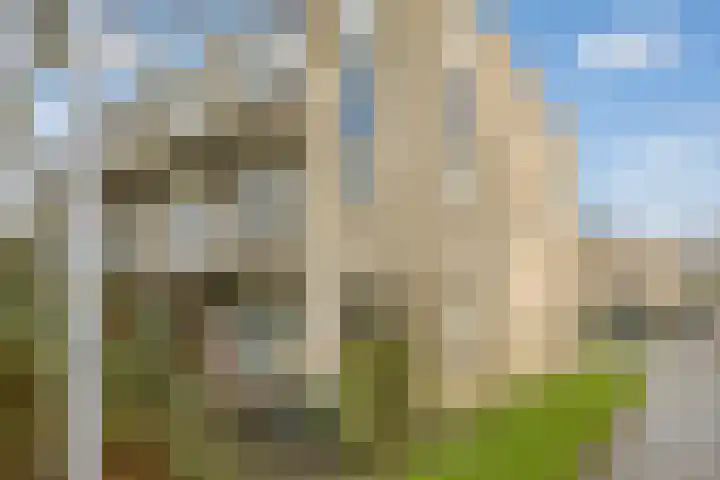 Jungfrau 86 Utrecht thumbnail 24