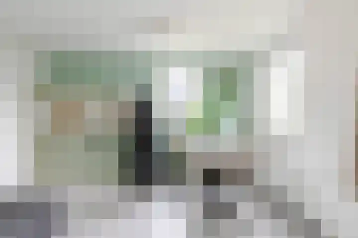 Jungfrau 86 Utrecht thumbnail 5