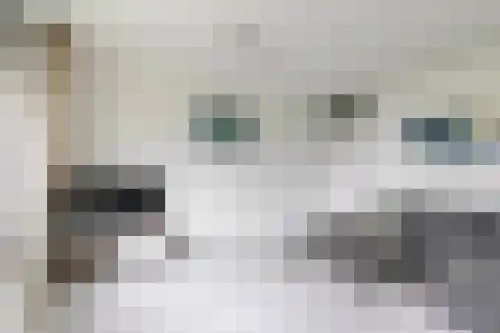 Jungfrau 86 Utrecht thumbnail 6