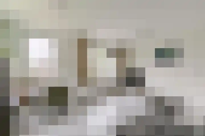 Jungfrau 86 Utrecht thumbnail 7