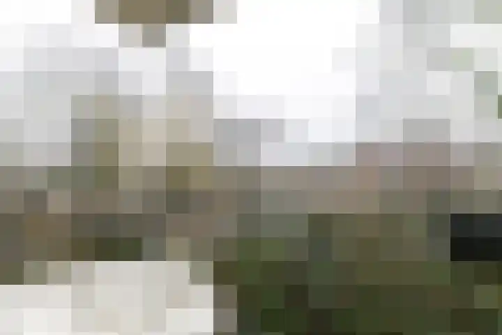 Jungfrau 86 Utrecht thumbnail 8