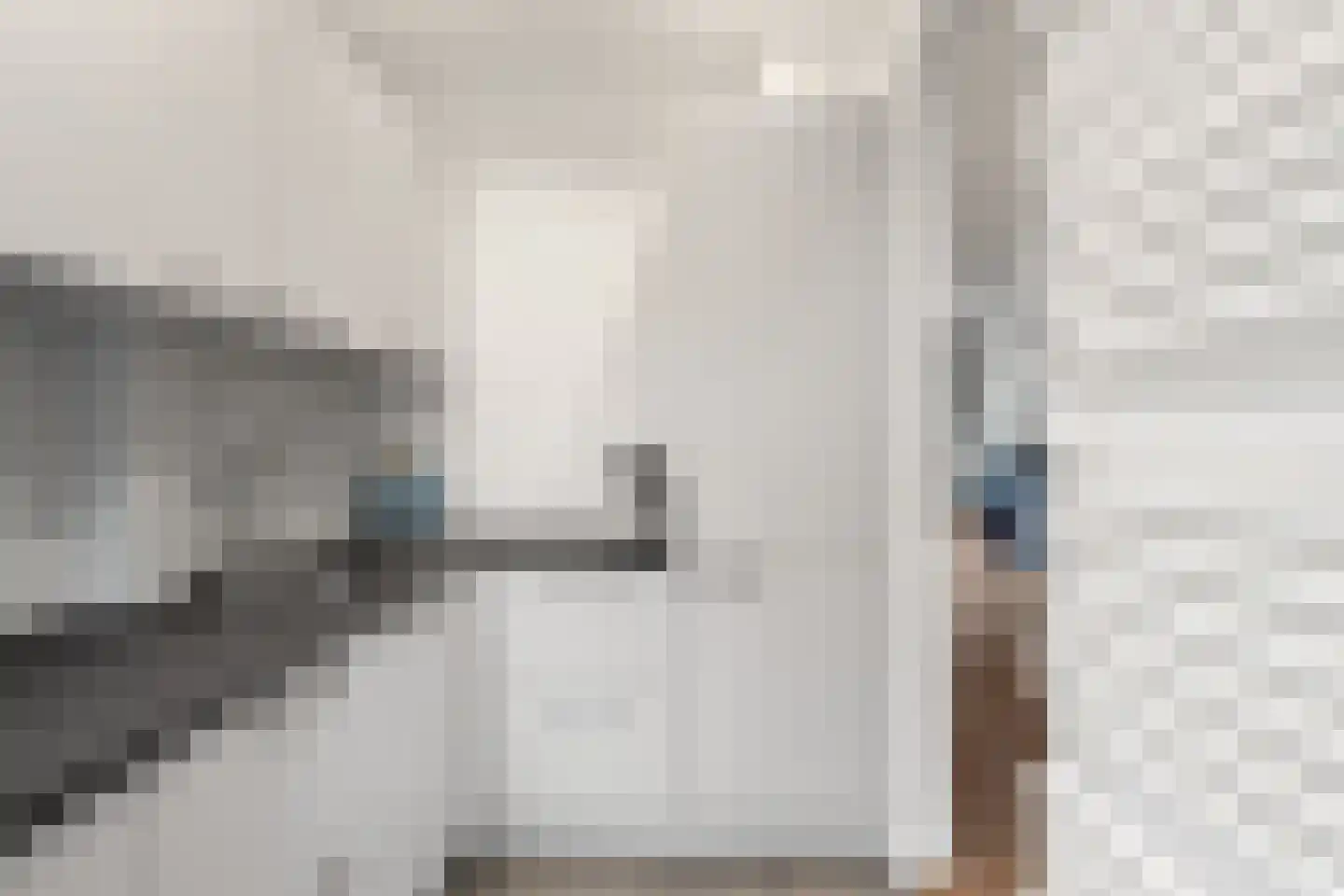 Junghuhnstraat 11 Rijswijk thumbnail 22