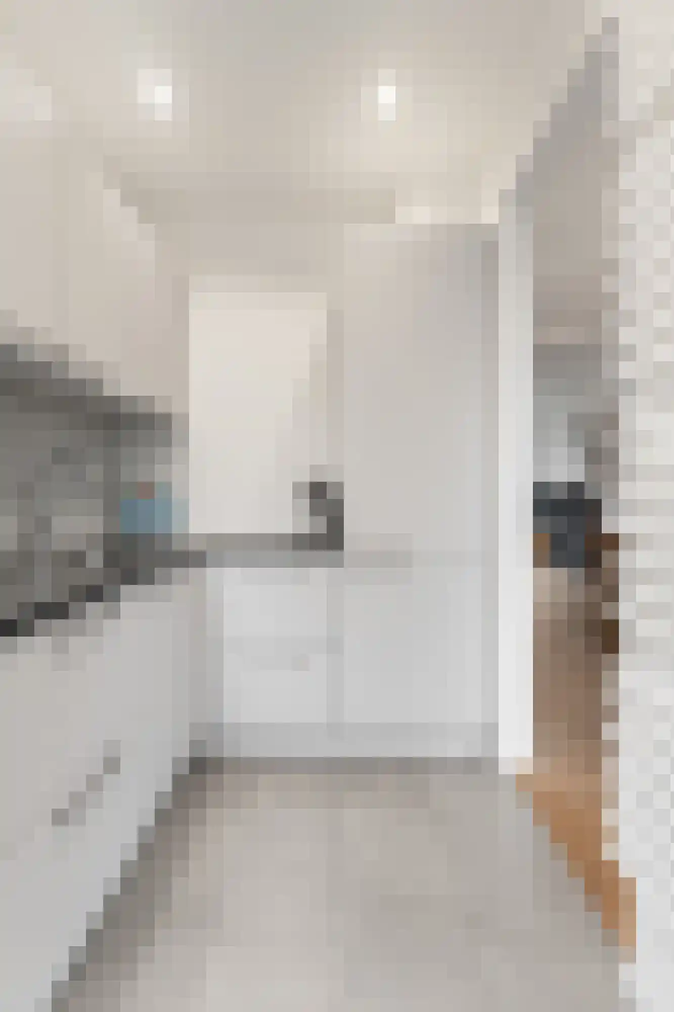 Junghuhnstraat 11 Rijswijk thumbnail 24