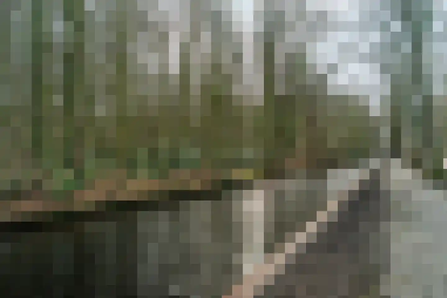 Junghuhnstraat 11 Rijswijk thumbnail 42