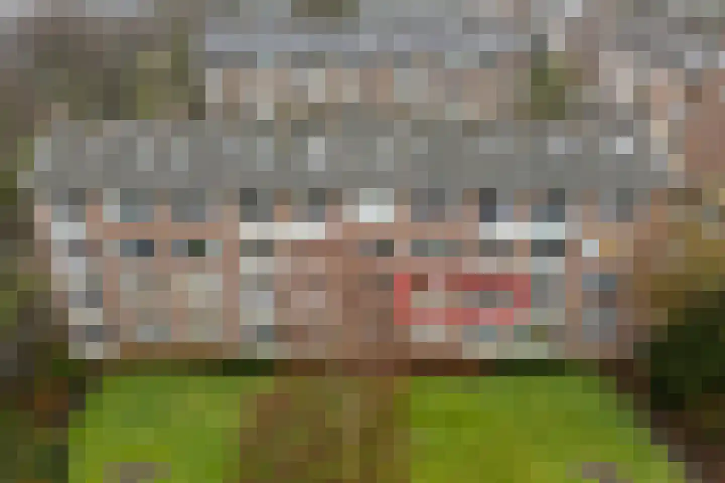 Junghuhnstraat 11 Rijswijk thumbnail 5