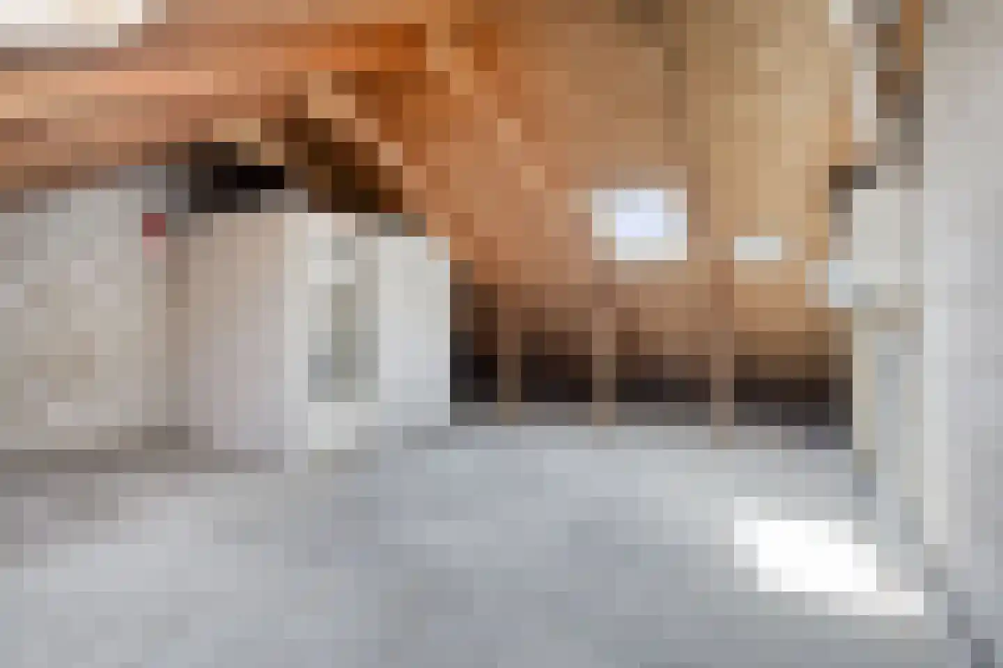 Jungstraat 18 Haarlem thumbnail 18