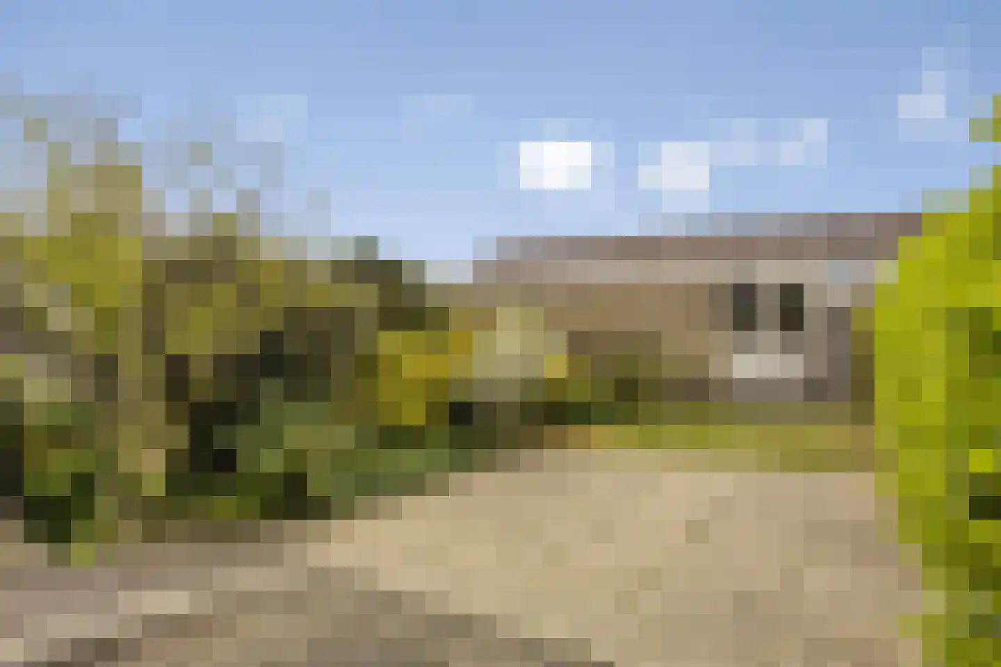 Jungstraat 18 Haarlem thumbnail 22