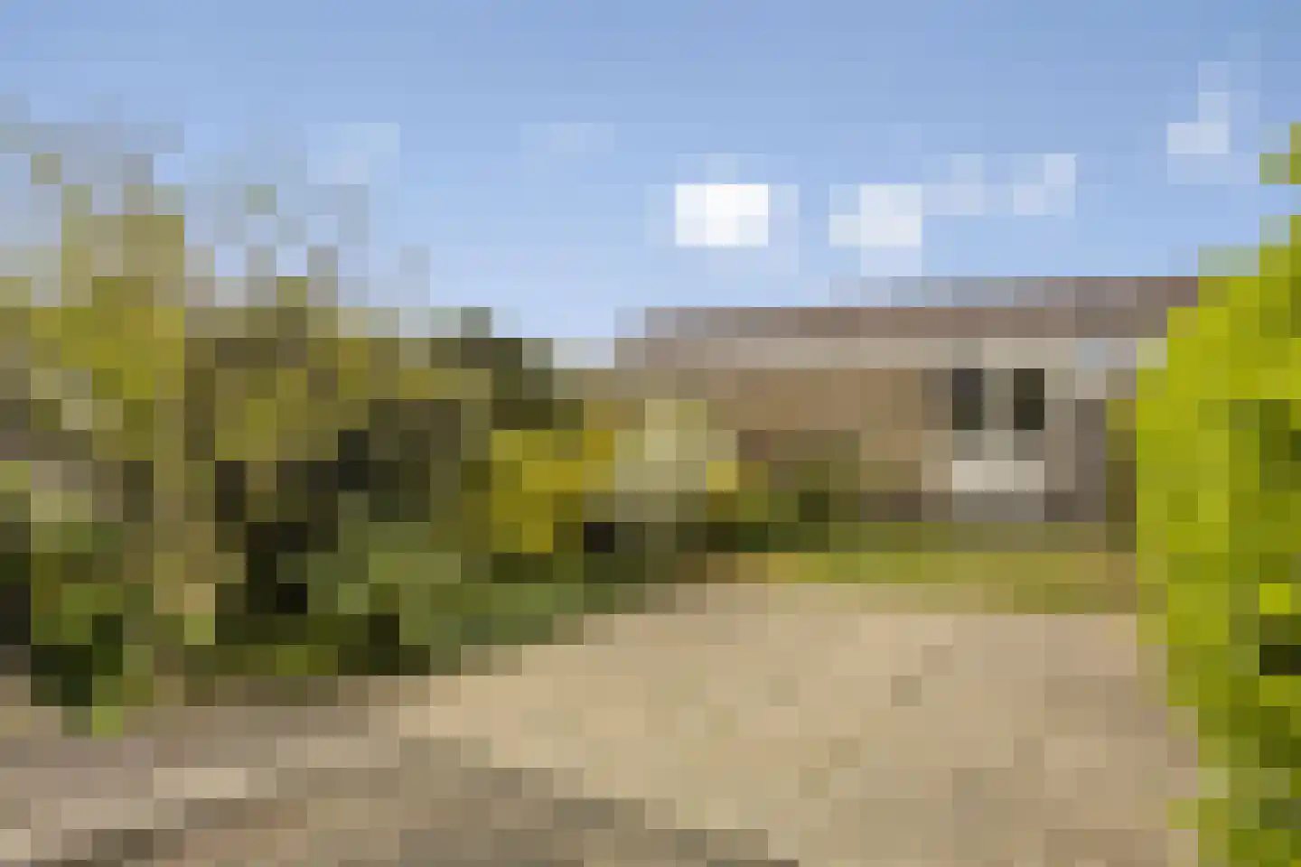 Jungstraat 18 Haarlem thumbnail 22