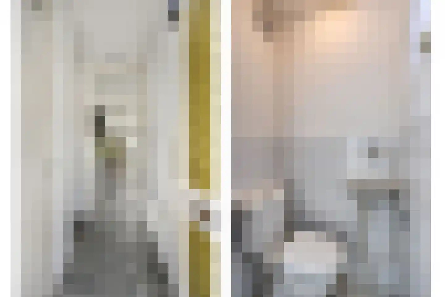 Jungstraat 18 Haarlem thumbnail 5