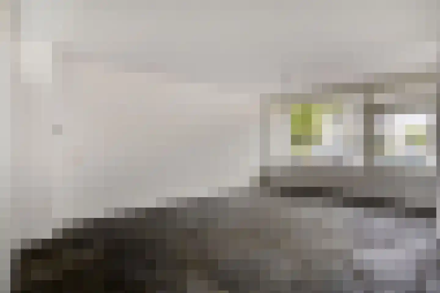 Jungstraat 18 Haarlem thumbnail 6