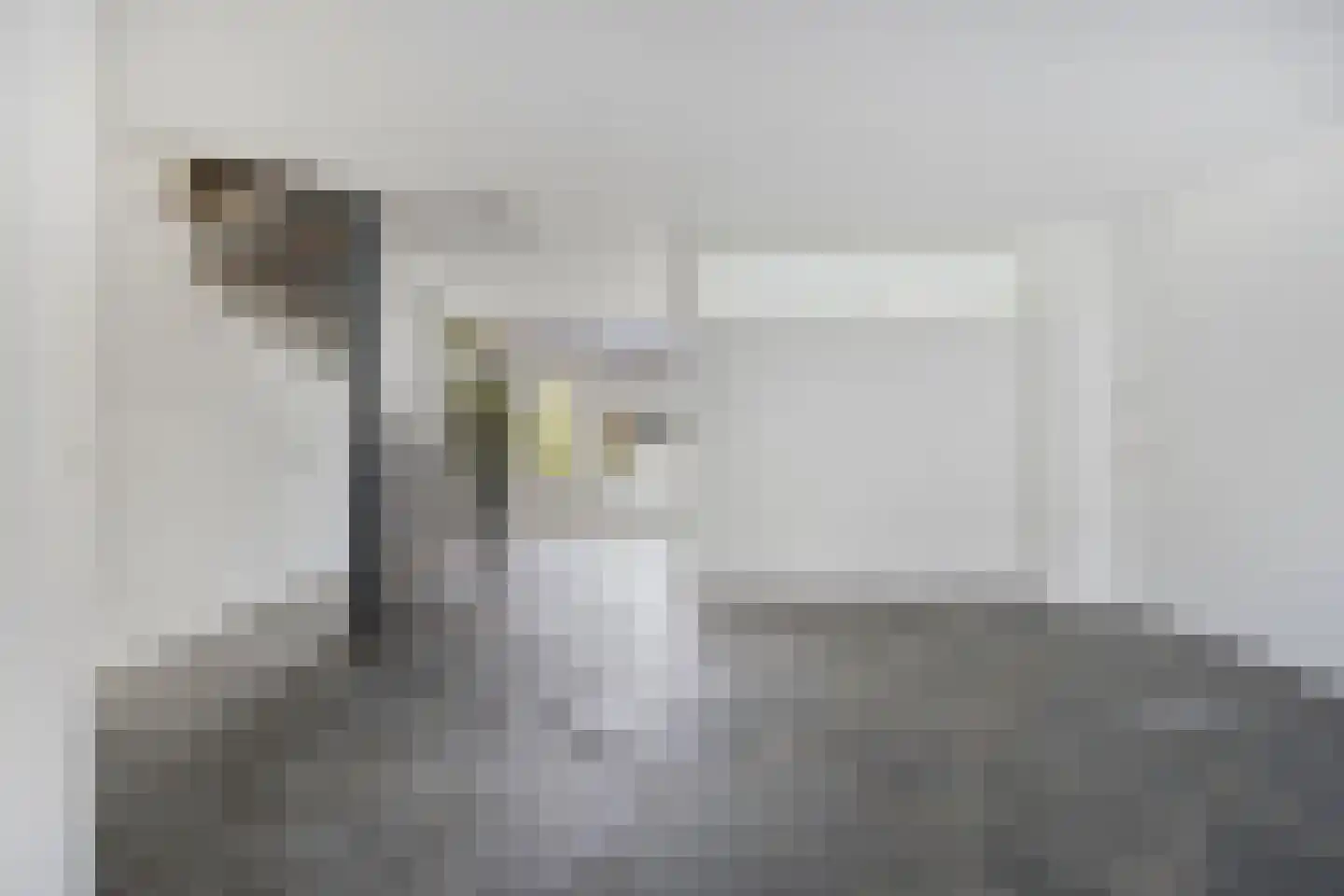 Jungstraat 18 Haarlem thumbnail 8