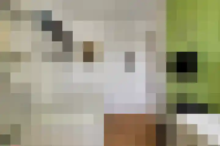 Jungstraat 2 D Haarlem thumbnail 13