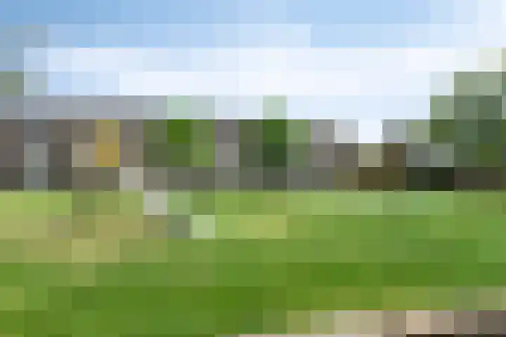 Jungstraat 2 D Haarlem thumbnail 25