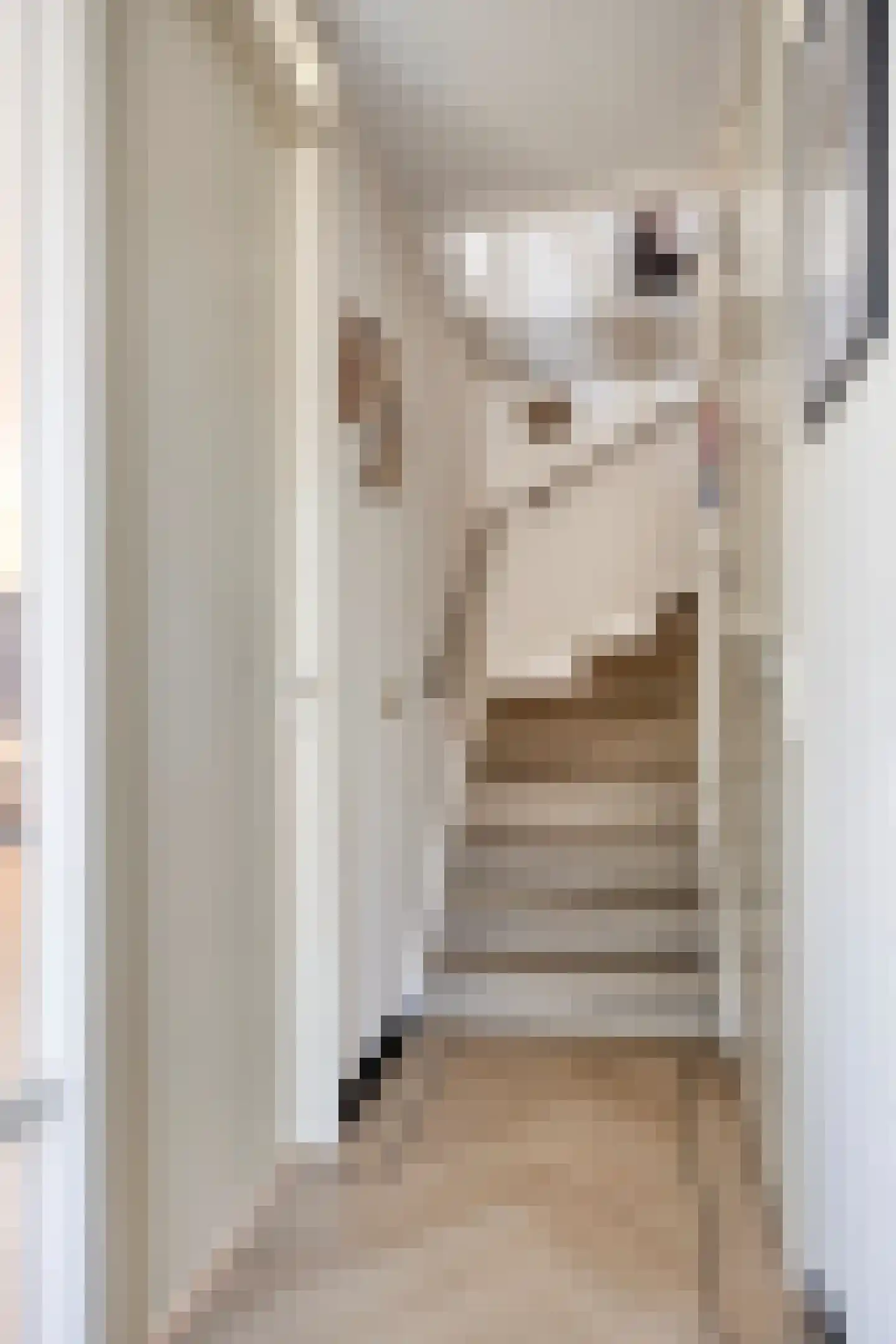 Jungstraat 2 F Haarlem thumbnail 8