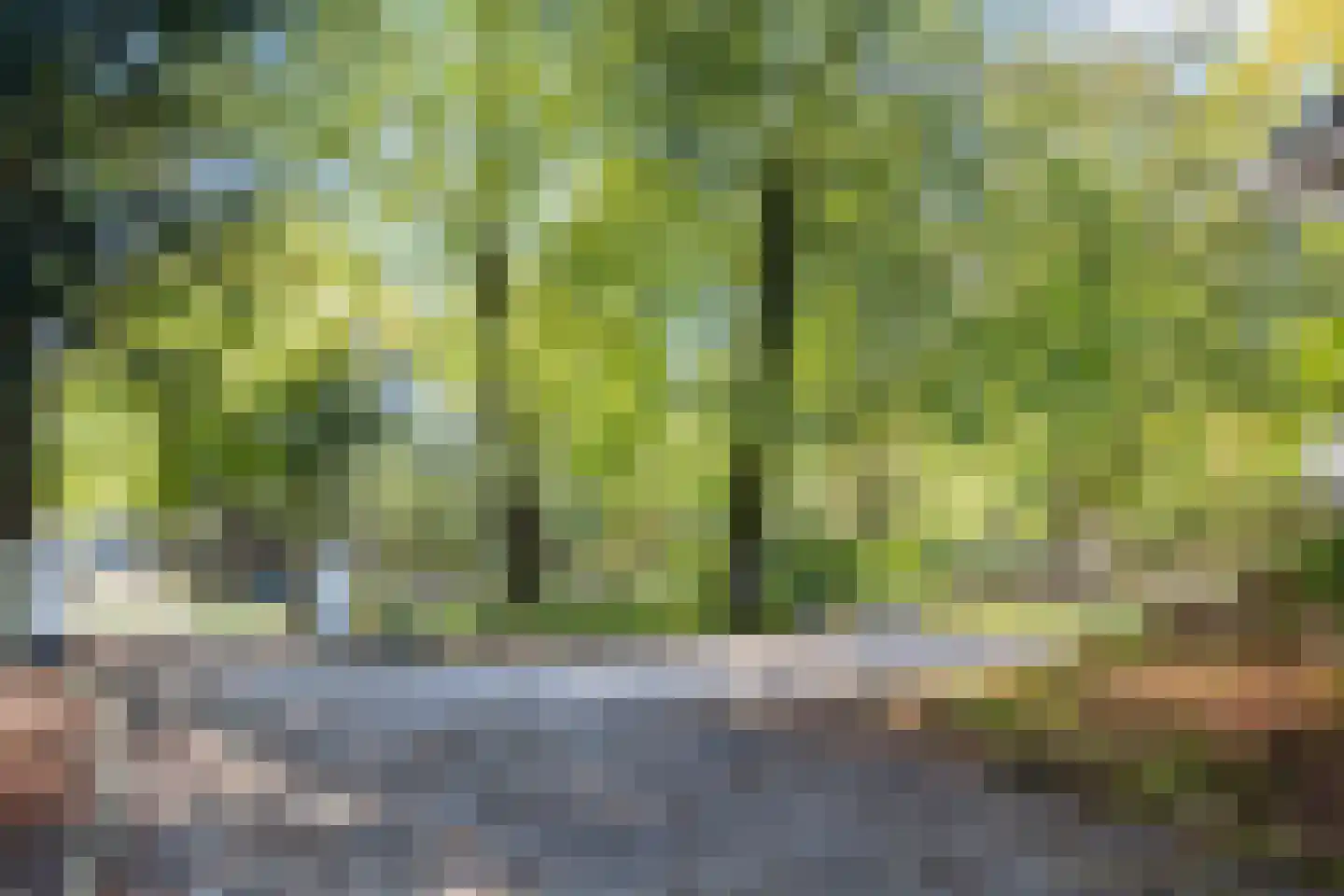 Juniperlaan 57 Apeldoorn thumbnail 55