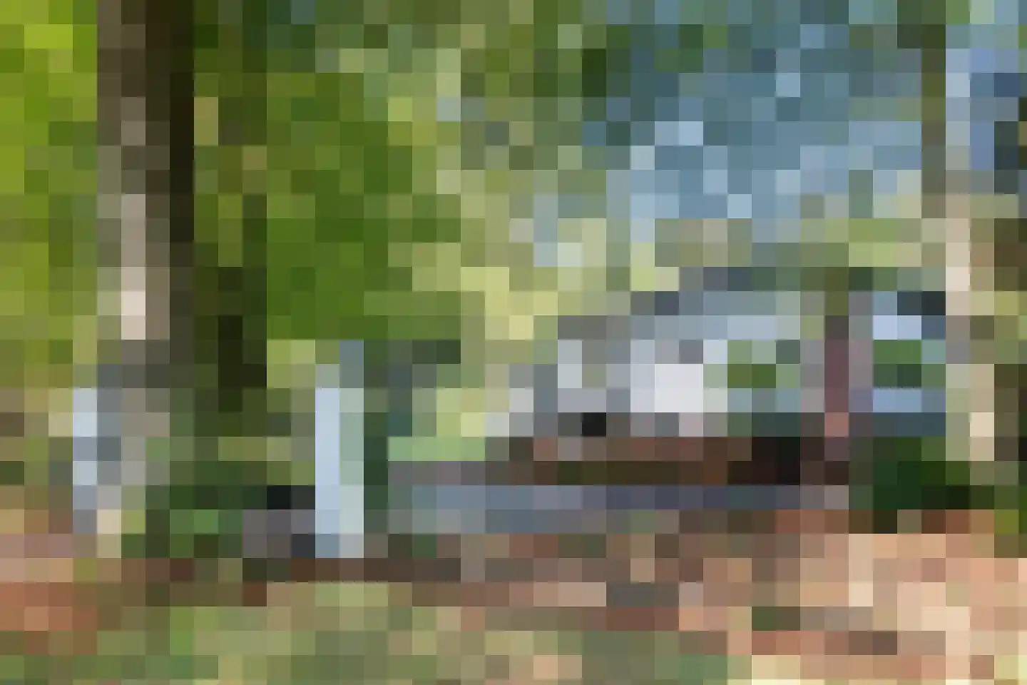 Juniperlaan 57 Apeldoorn thumbnail 57