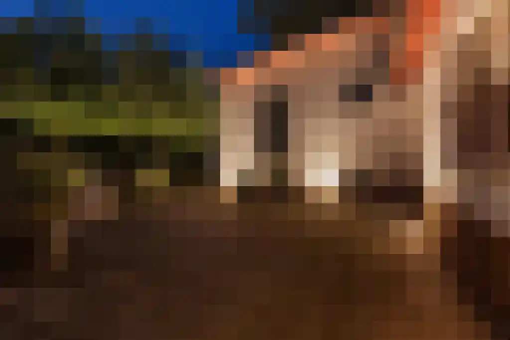 Juniperlaan 57 Apeldoorn thumbnail 59