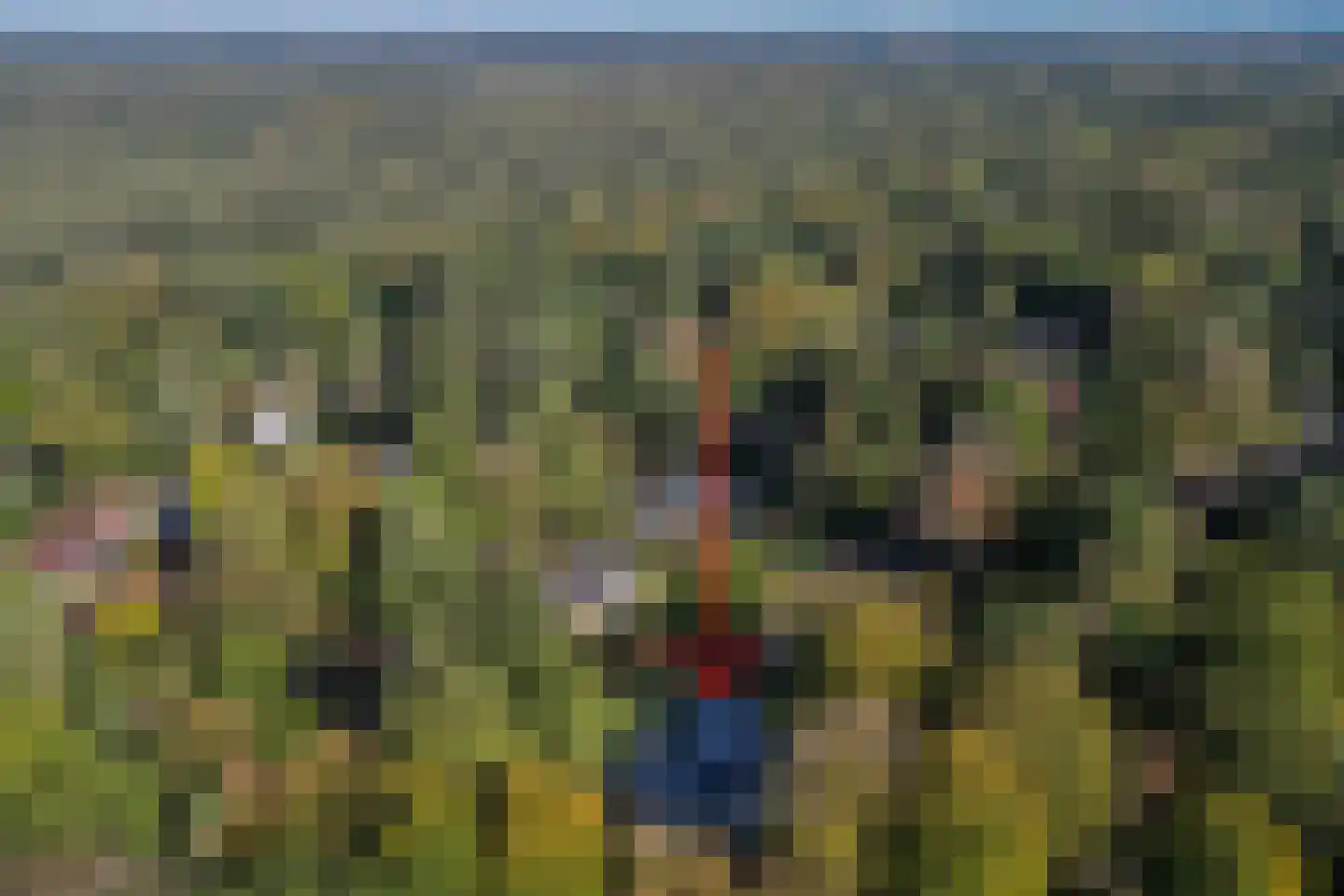 Juniperlaan 57 Apeldoorn thumbnail 66