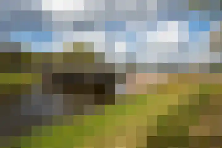 Junnerweg 9 Stegeren thumbnail 17