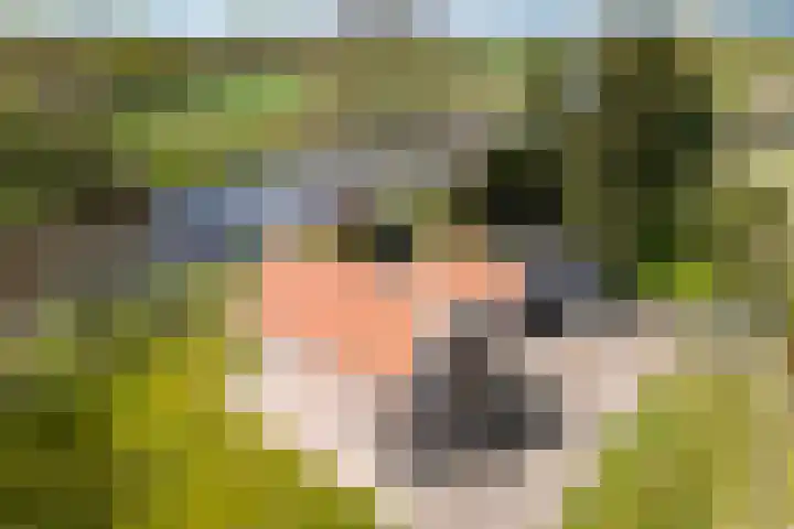 Junnerweg 9 Stegeren thumbnail 30