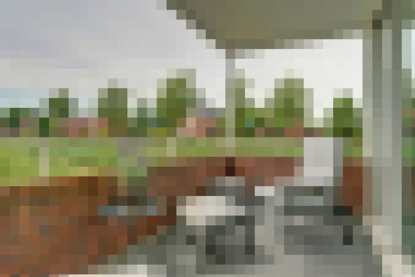 Juno 109 Elst thumbnail 11