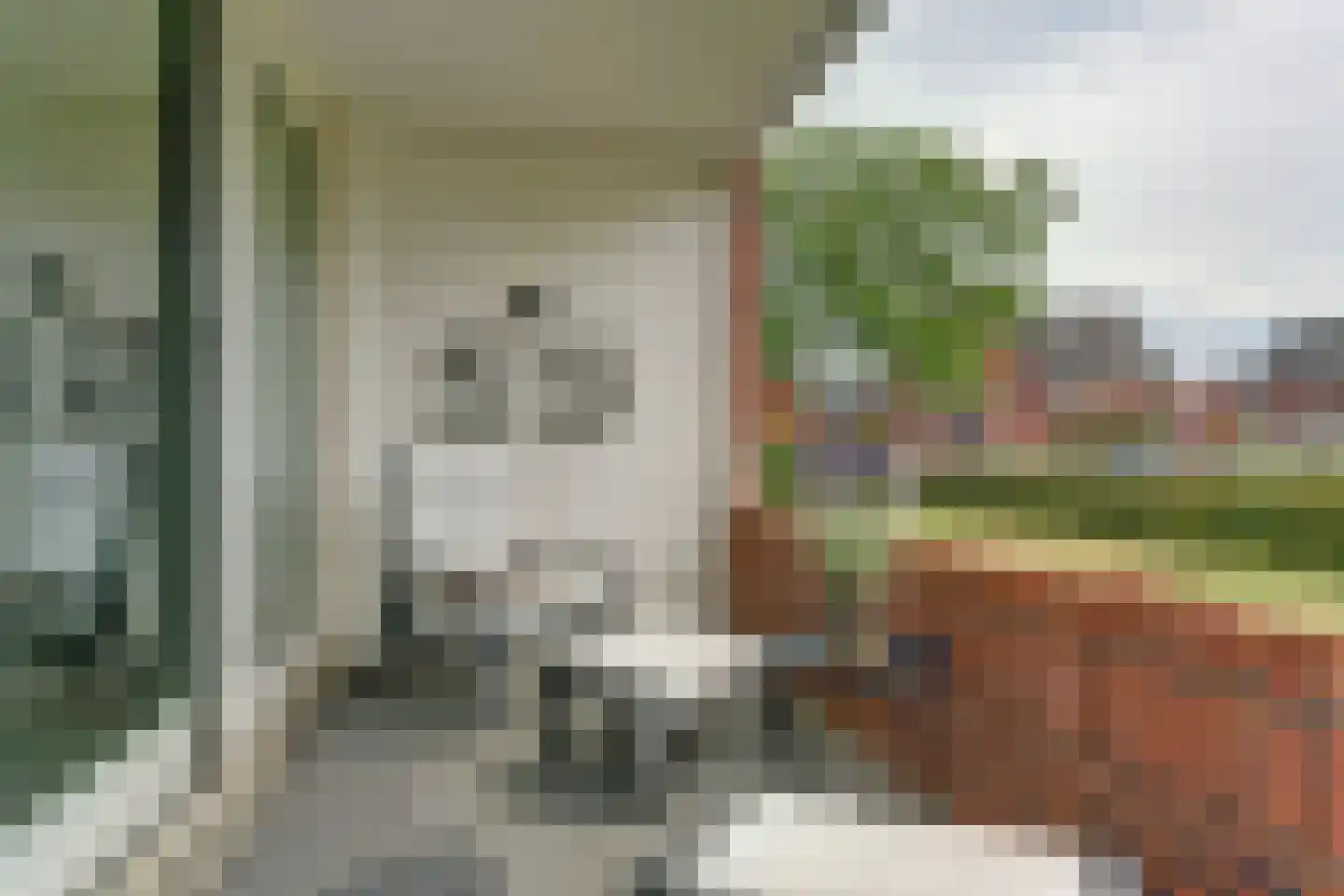 Juno 109 Elst thumbnail 12