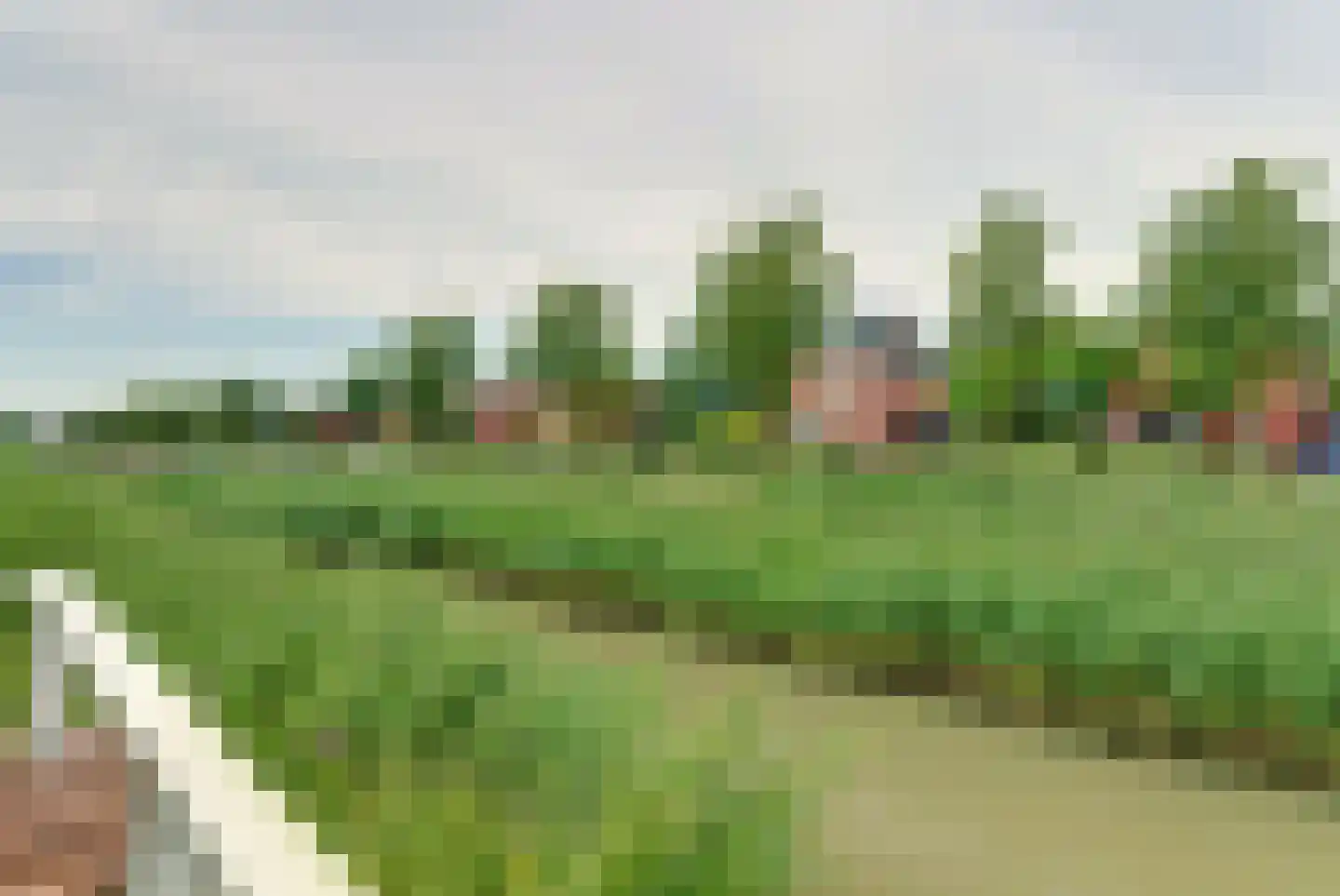 Juno 109 Elst thumbnail 13