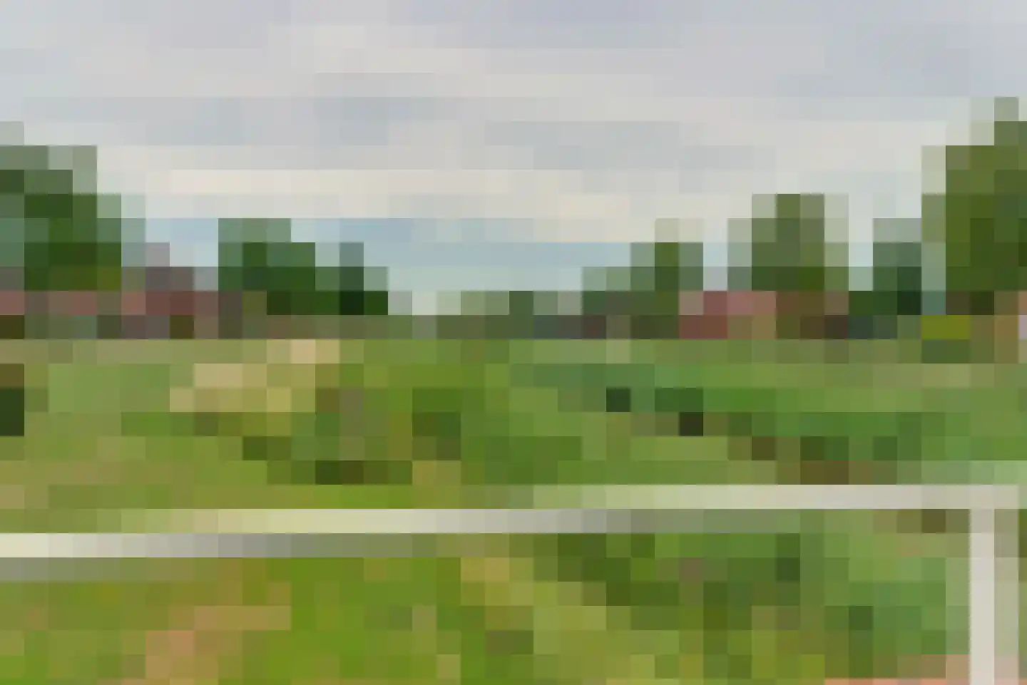 Juno 109 Elst thumbnail 14