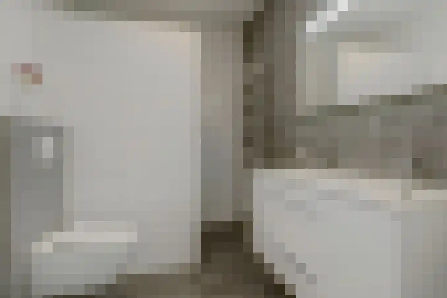 Juno 109 Elst thumbnail 30