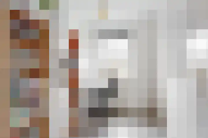 Juno 11 Wijk bij Duurstede thumbnail 13