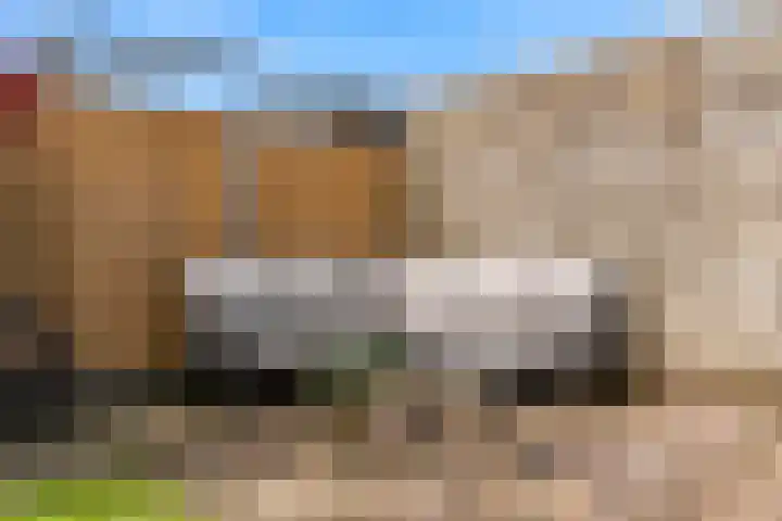 Juno 11 Wijk bij Duurstede thumbnail 28