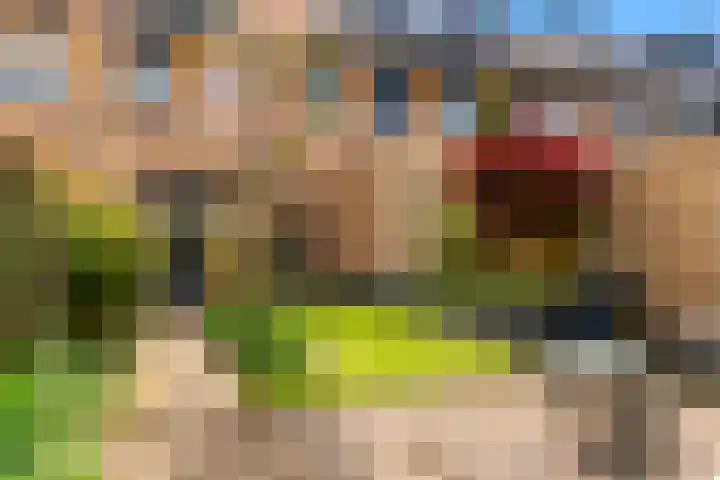 Juno 11 Wijk bij Duurstede thumbnail 31