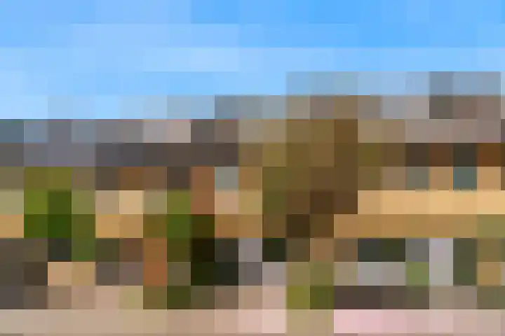 Juno 11 Wijk bij Duurstede thumbnail 32