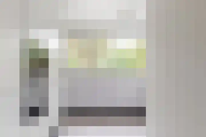 Juno 11 Wijk bij Duurstede thumbnail 4