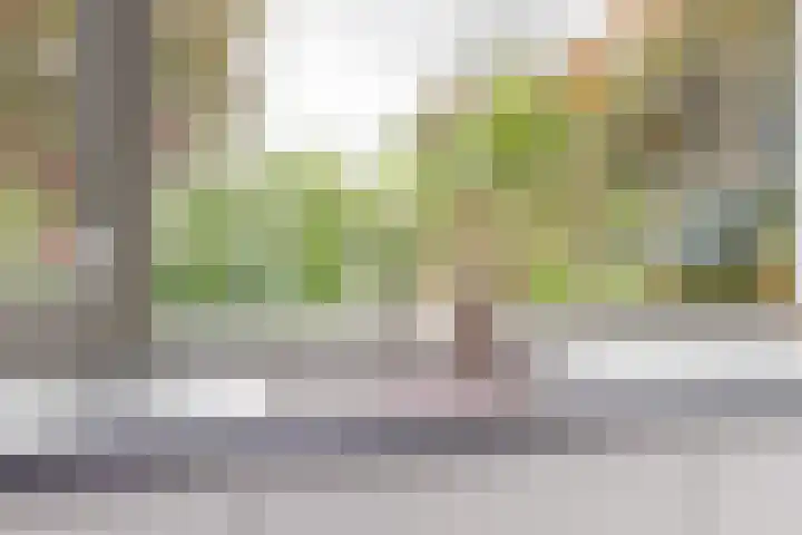 Juno 11 Wijk bij Duurstede thumbnail 8