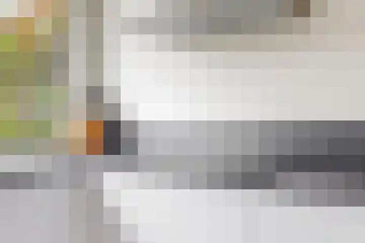 Juno 11 Wijk bij Duurstede thumbnail 9