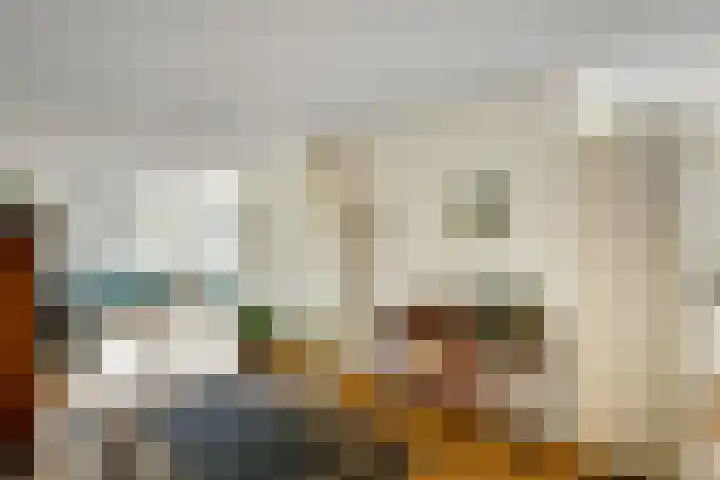 Juno 167 Elst thumbnail 11