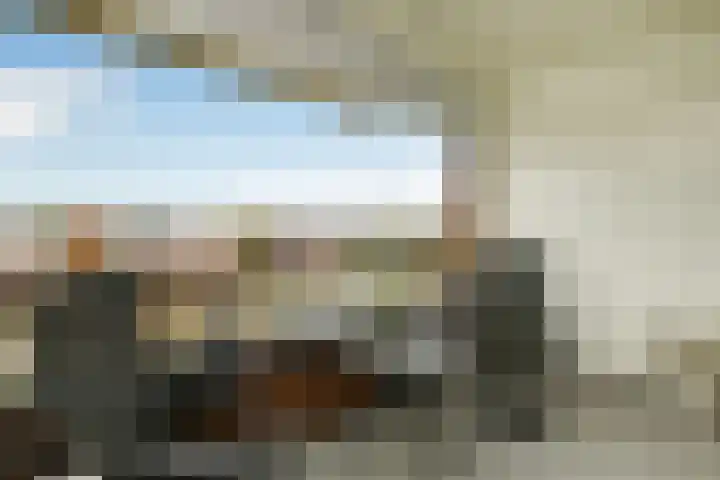 Juno 167 Elst thumbnail 13