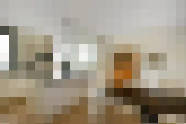 Juno 167 Elst thumbnail 15