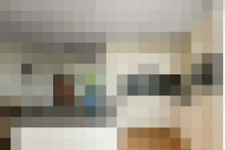 Juno 167 Elst thumbnail 17