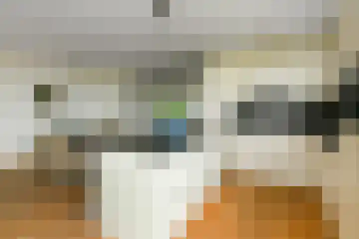 Juno 167 Elst thumbnail 18