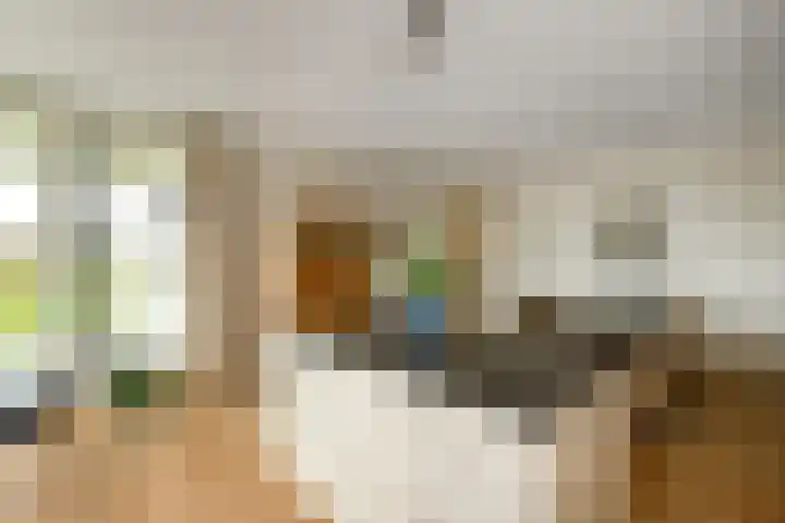 Juno 167 Elst thumbnail 19