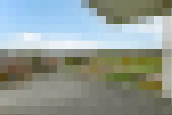 Juno 167 Elst thumbnail 20